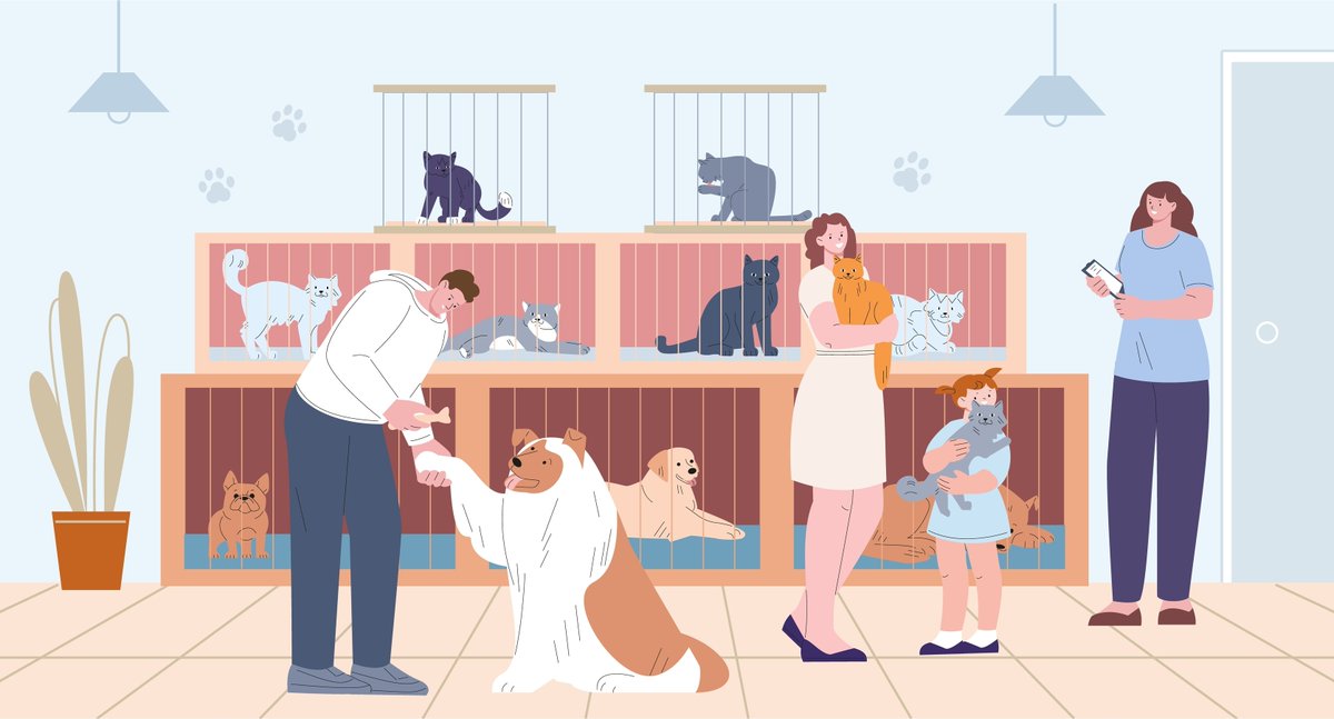 It's #TellAStoryDay! Do you remember the day you first met your pet? Share your story below and spread the joy of adoption! Let's fill our feed with tails of love! 🐕🐈💬 #AdoptedPets