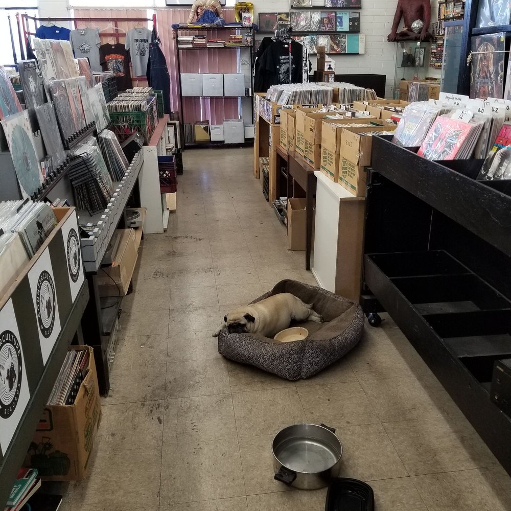 I don't blame record stores for wanting to be neat & tidy but there's something special about a place like the Double Nickels Collective in Tempe where all the stock is out of control & overflowing & you have to step over boxes of LPs & and you get to pet a dog.