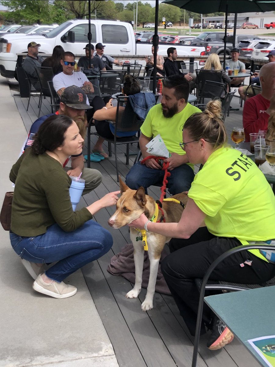 The Nebraska Half & The OmaHalf (@nebraska262) on Twitter photo Town & Country Animal Rescue has joined us today at packet pickup.Ā Ā Nolan is up for adoption and is waiting to say hi on the patio! <a href="/NEBrewingCo/">Nebraska Brewing Co</a>
Please check out all the adoptable dogs/cats/small animals at Town & Country Animal Rescue. townandcountryhumanesociety.org Town & Country Animal Rescue has joined us today at packet pickup.Ā Ā Nolan is up for adoption and is waiting to say hi on the patio! <a href="/NEBrewingCo/">Nebraska Brewing Co</a>
Please check out all the adoptable dogs/cats/small animals at Town & Country Animal Rescue. townandcountryhumanesociety.org