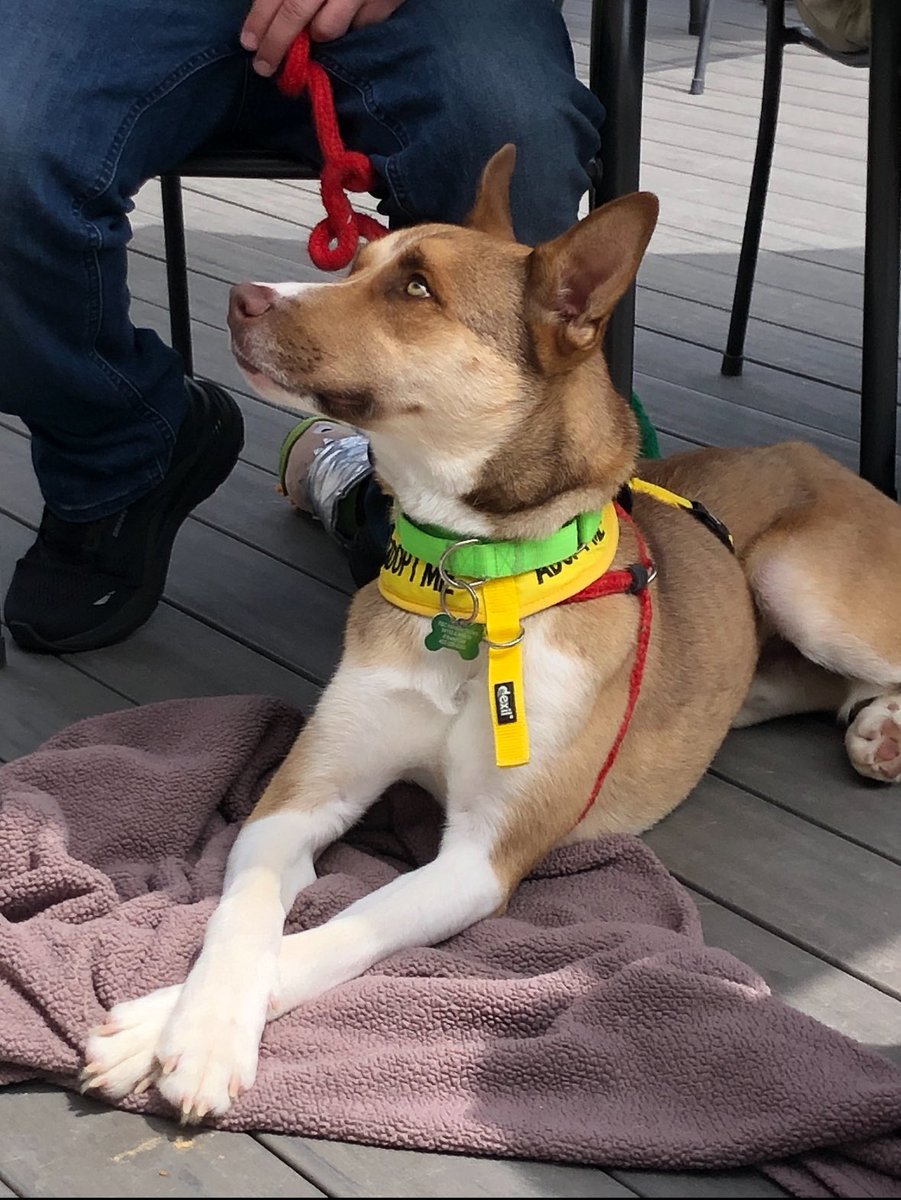 The Nebraska Half & The OmaHalf tweet media