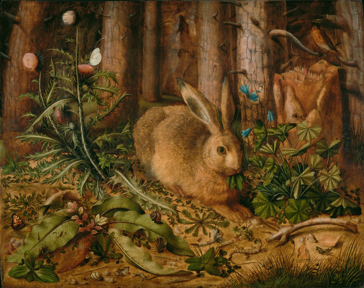 A Hare in the Forest, about 1585, Hans Hoffmann. Getty Museum getty.edu/art/collection…