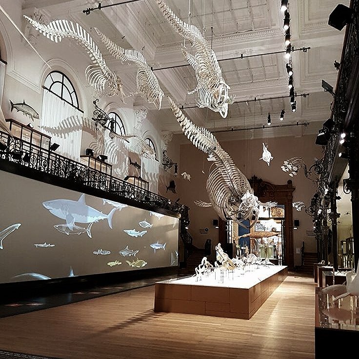 ㅤ
ㅤ
── ִ ۫ ּ   ִ ۫   ˑ    ּ 𖥔  𖥻UPDATE.⠀

                                                 JUDAS.⠀⠀ ⋆
           evening , i'm just gonna stroll here at oceanographic museum before eating dinner. i will be here for a few more days .ᐟ
ㅤ
ㅤ