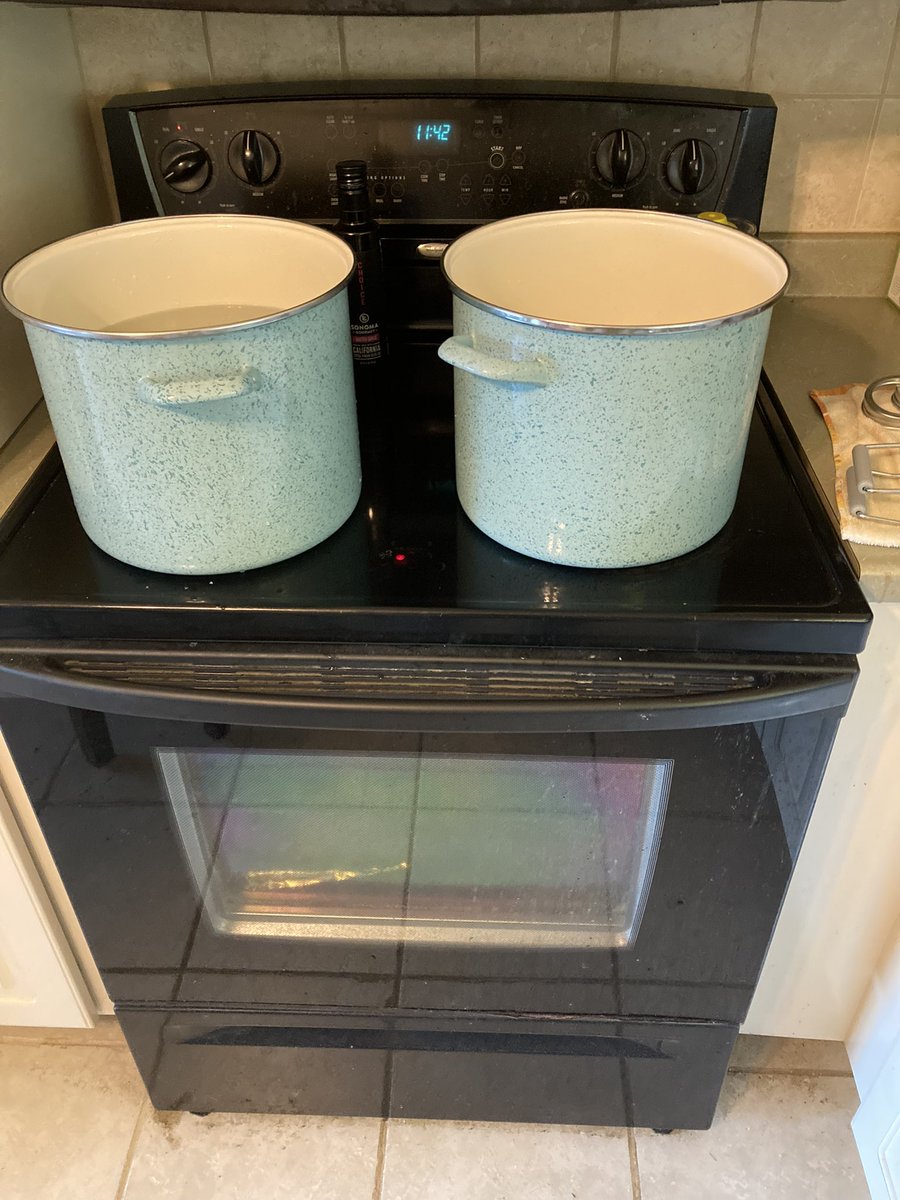 SixtiethTiger1's tweet photo. First preserves of the year! 8 cups Blackberries picked growing in the field next to the barn, Crushed made a little more than 5 cups! #MadeAtHome https://t.co/N8FKBx5djo