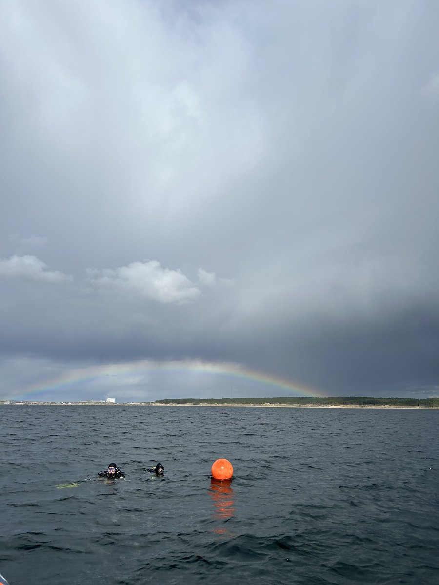 Acting on a tip off from a local diver who saw some seagrass and n Burghead Bay 10 years ago, together with Burghead Sub Aqua Club we went to look for it. Quite a big search area but we found some! #seagrass #citizenscience #conservation #Burghead #marine