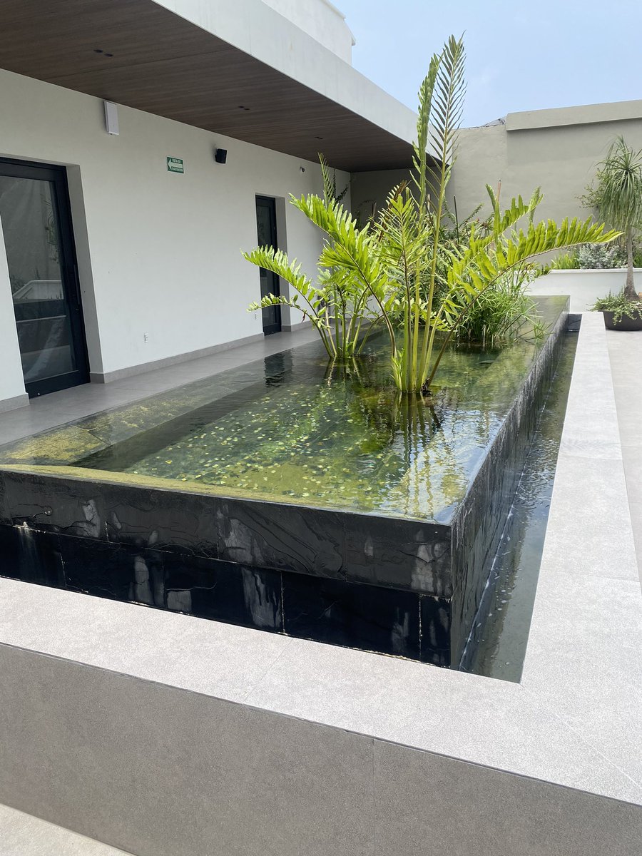 beltrandelrio's tweet photo. Maravilloso, el nuevo Museo de la Ciudad de Tampico. No dejen de visitarlo cuando vengan. 

Y si no han considerado Tampico como opción para pasar un fin de semana, a lo mejor es porque no les han platicado lo que hay que ver, hacer y comer. https://t.co/Q0OTB2VPGF