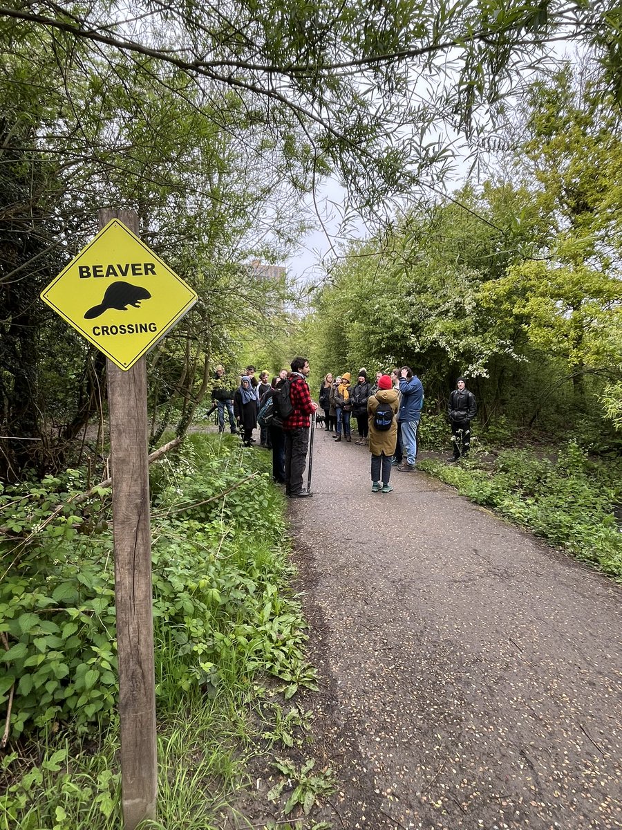 Nathalie Mahieu tweet media