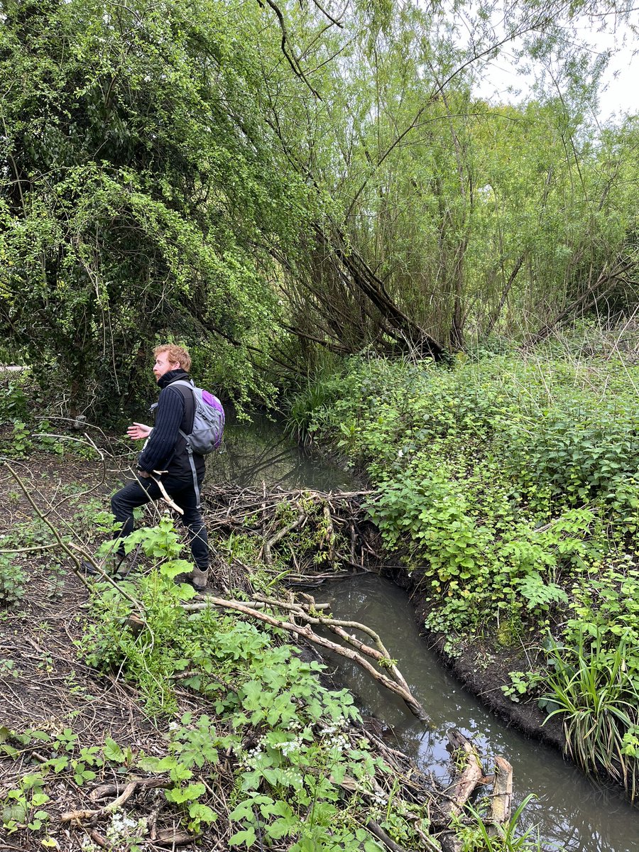 Nathalie Mahieu tweet media