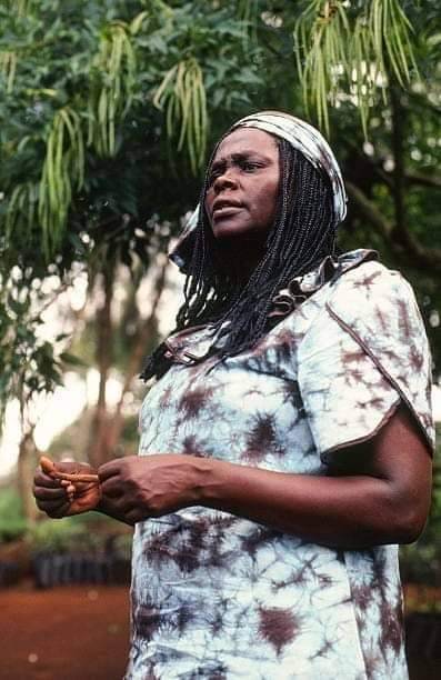 “You cannot enslave a mind that knows itself. That values itself. That understands itself.” - Wangari Maathai #blackliberation #menticide #knowthyself #criticalthinking #wangarimaathai #kenya