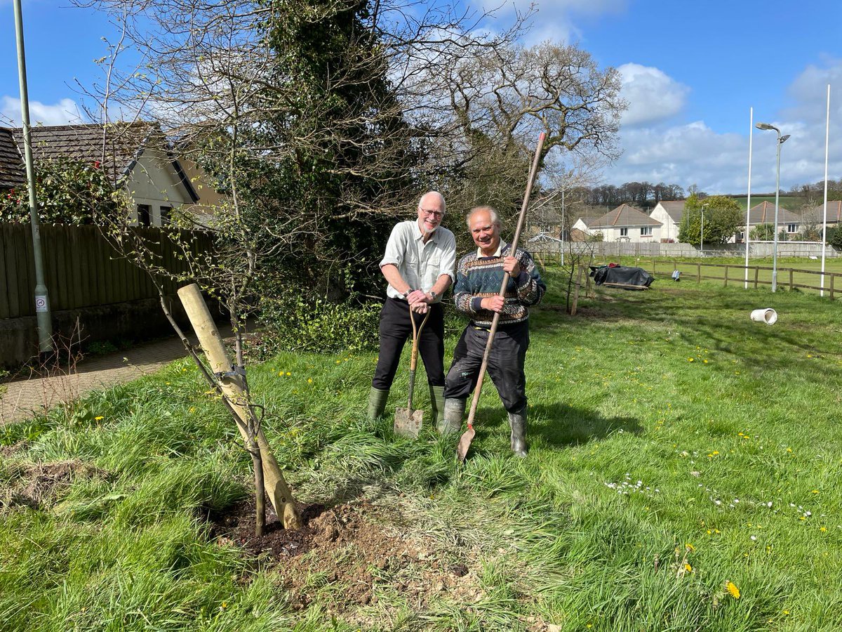 OkehamptonRFC's tweet photo. Thank you to Dave, Merv & Dave who have been busy planting trees around the club recently! #orfc #okehamptonrugbyclub #okehamptonrfc #okehampton #WestDevon #okehamptonrugby https://t.co/4Gnpc8Qj7P