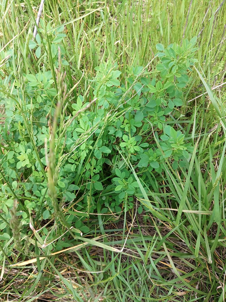 Jeff Murphy tweet media