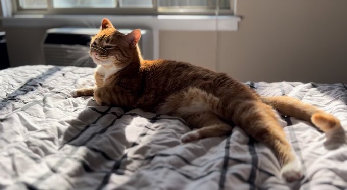 So photogenic today https://t.co/tZuWGKq6Sd<a href="/tag/celebrate"class="tags"><span>#celebrate</span></a><a href="/tag/redhead"class="tags"><span>#redhead</span></a><a href="/tag/newyear"class="tags"><span>#newyear</span></a><a href="/tag/newyears"class="tags"><span>#newyears</span></a><a href="/tag/newyearseve"class="tags"><span>#newyearseve</span></a>