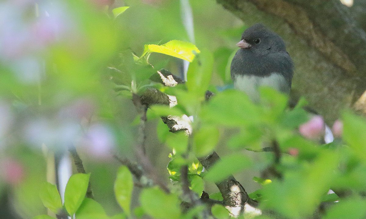 Owen Beaumont tweet media