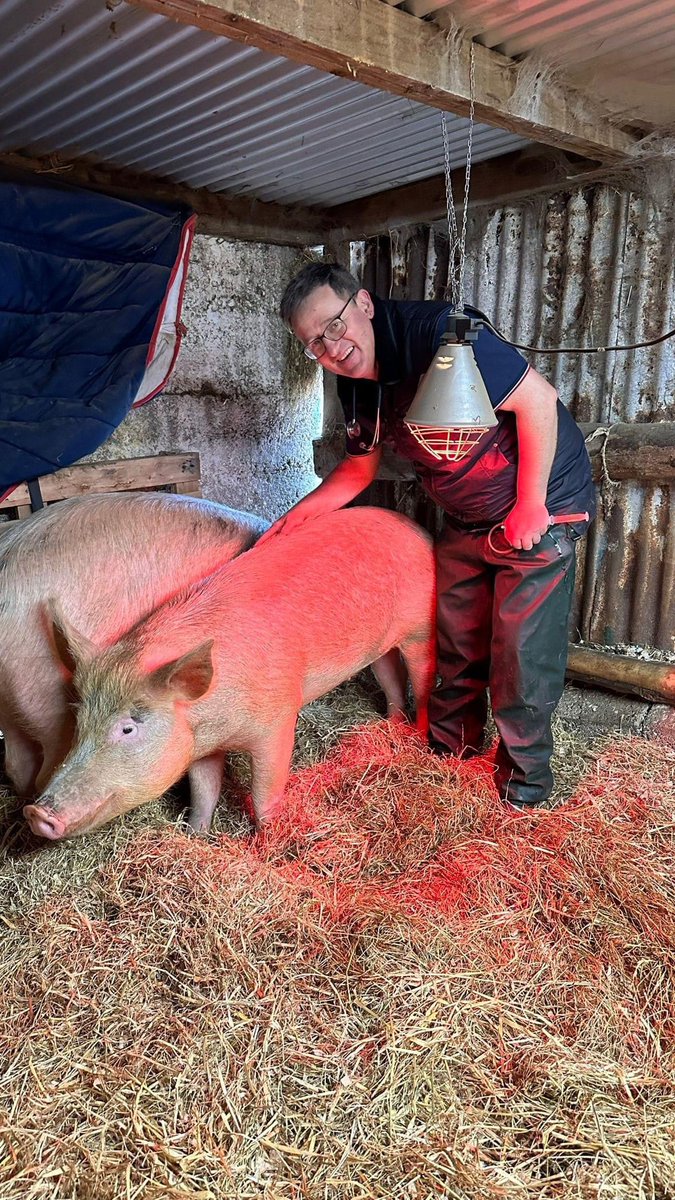 Sebastian has been under the weather the last few days. John from Blackwater Veterinary Clinic was out to see him and thankfully he is much improved. 🙏🏻 donate.mylovelyhorserescue.com/one-off/?fbcli…