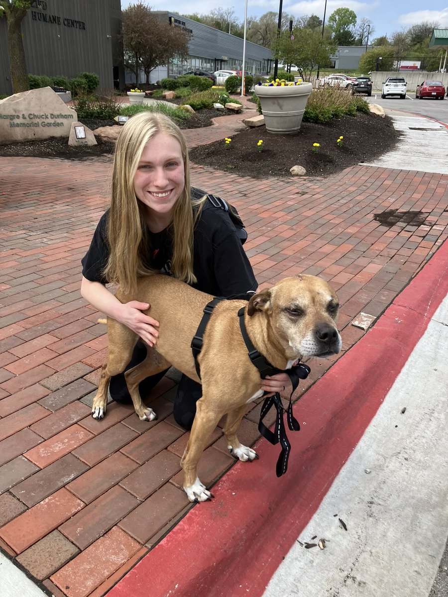 Roggin was reunited with his owner Shelby after her home was destroyed in the storms yesterday. She doesn’t know how he survived, but he did. Now they’re together again. Animal Control is still working to reunite pets and owners. If you need help call 402-444-7800 ext. 1