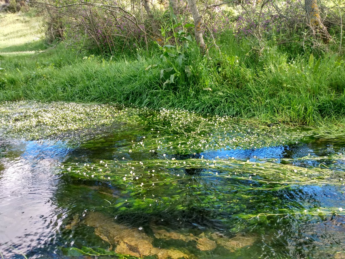 DGCerdeno's tweet image. 