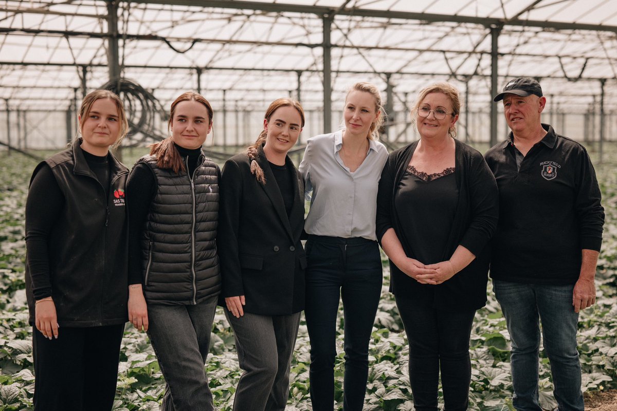 À Monteux, en #Vaucluse, Fabien et Corinne tiennent une exploitation familiale de fraises, melons et salades. Malgré le harcèlement administratif, les charges et la concurrence étrangère, cette belle aventure familiale continue de se transmettre de génération en génération.