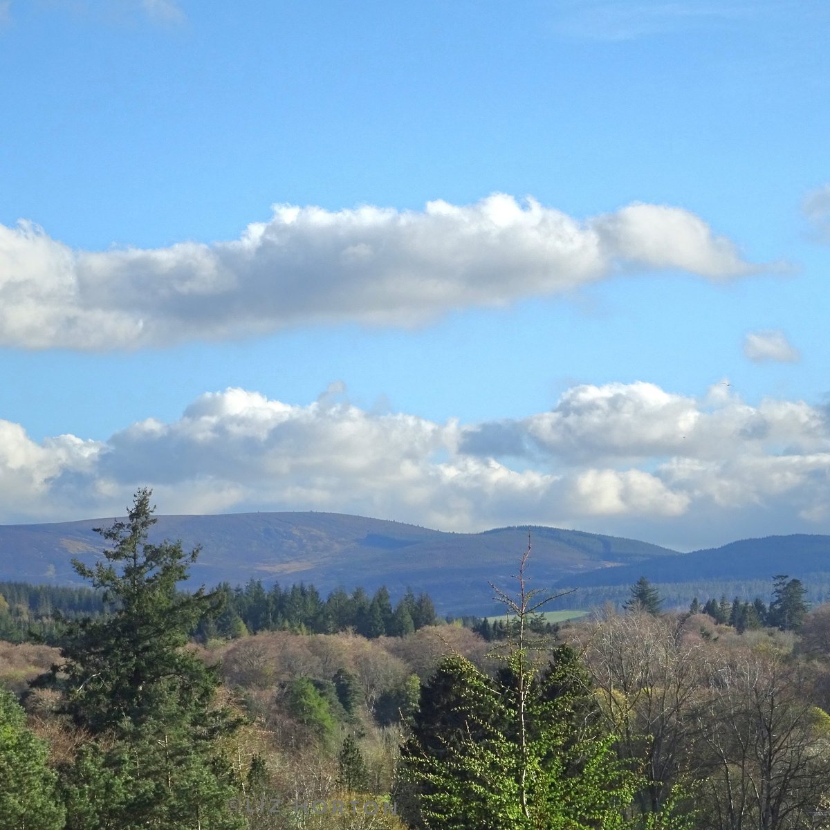 View from my window #rightnow.. #RoyalDeeside #weather.. Days are certainly getting longer. Even though it's been quite chilly It's been a beautiful day.. Hope you've had a great day.. Have a relaxing evening and a lovely day tomorrow.. #art #naturelovers .. 🌱💙🕊