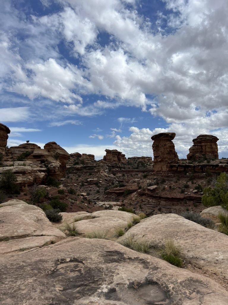 The Needles district of @CanyonlandsNPS!