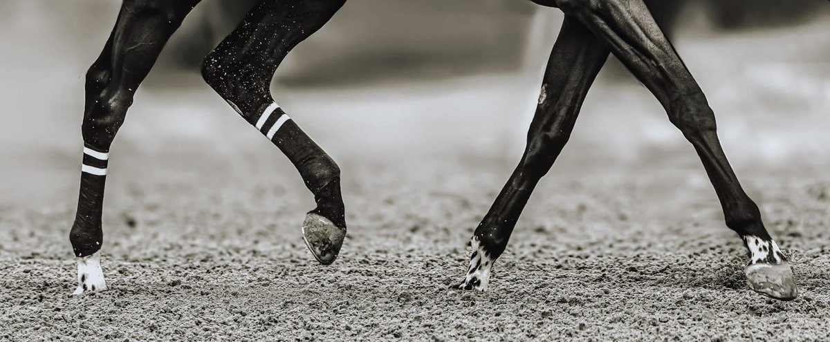 Light Up Racing statement on FX: Broken Horses Link: lightupracing.com/light-up-racin…