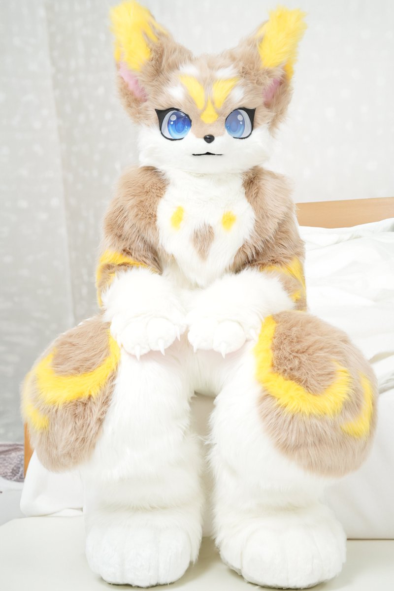 何かに腰掛ける画
#FursuitEveryday