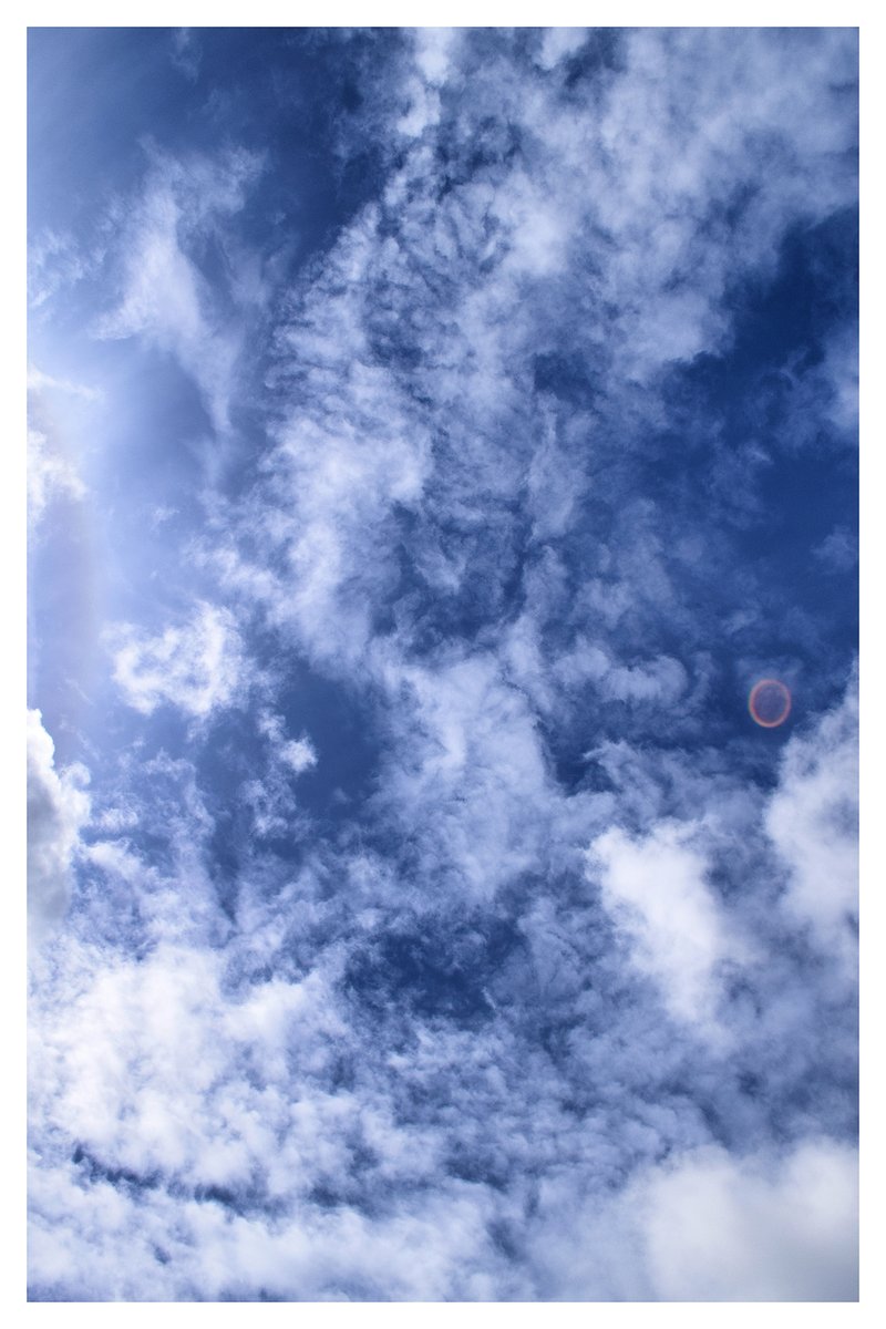 Particleclouds's tweet photo. ☁️📷 c l o u d p h o t o g r a p h e r . c o m
#clouds #nubes https://t.co/9Mjde8pZ11