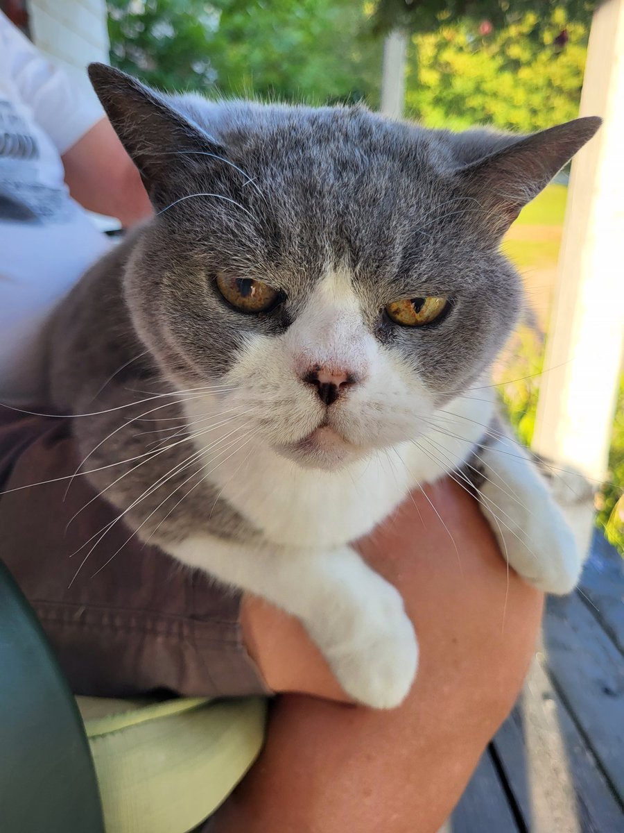 Григорий tweet media