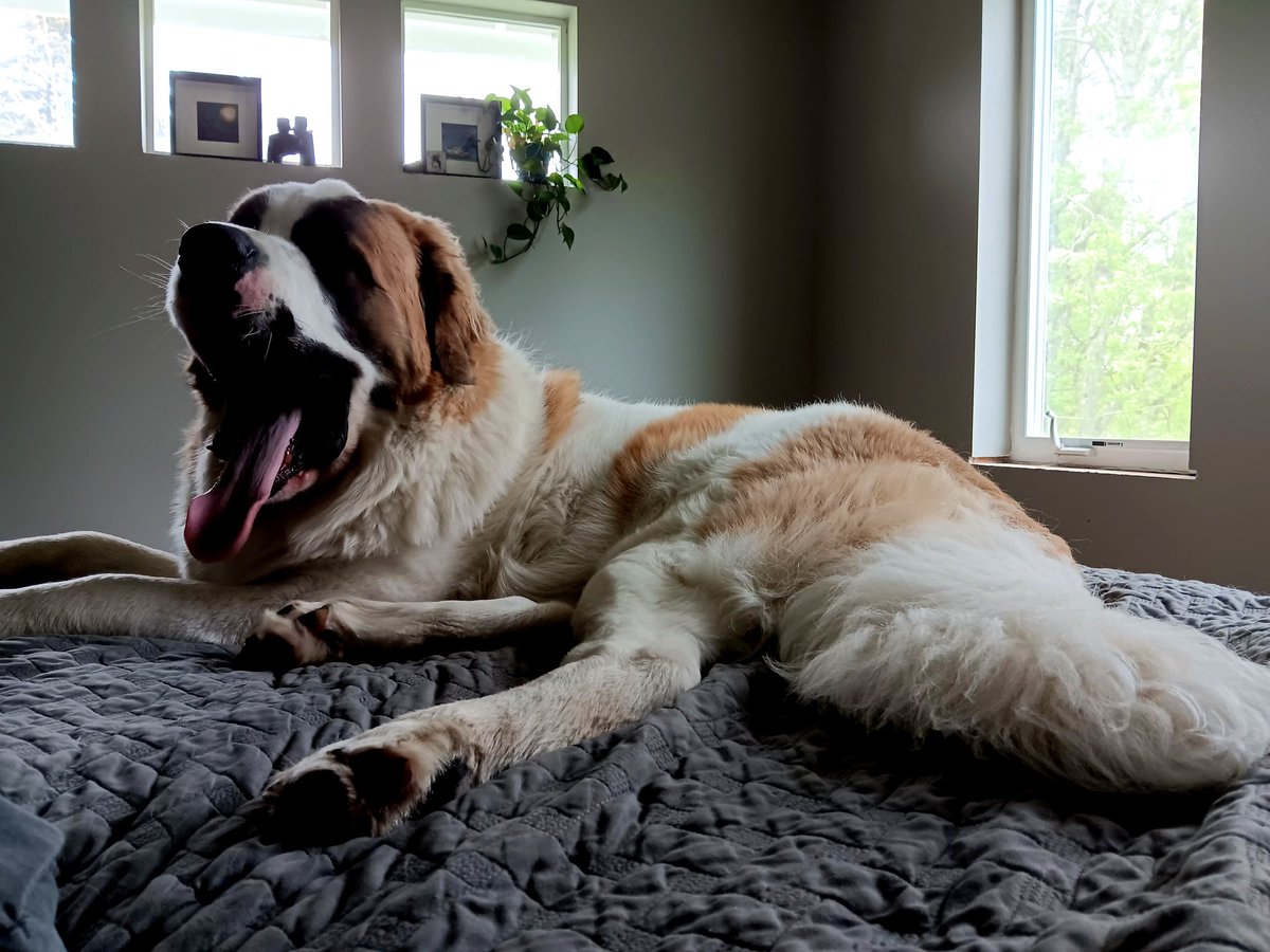 introvertedpnw's tweet image. Slow start Saturday.