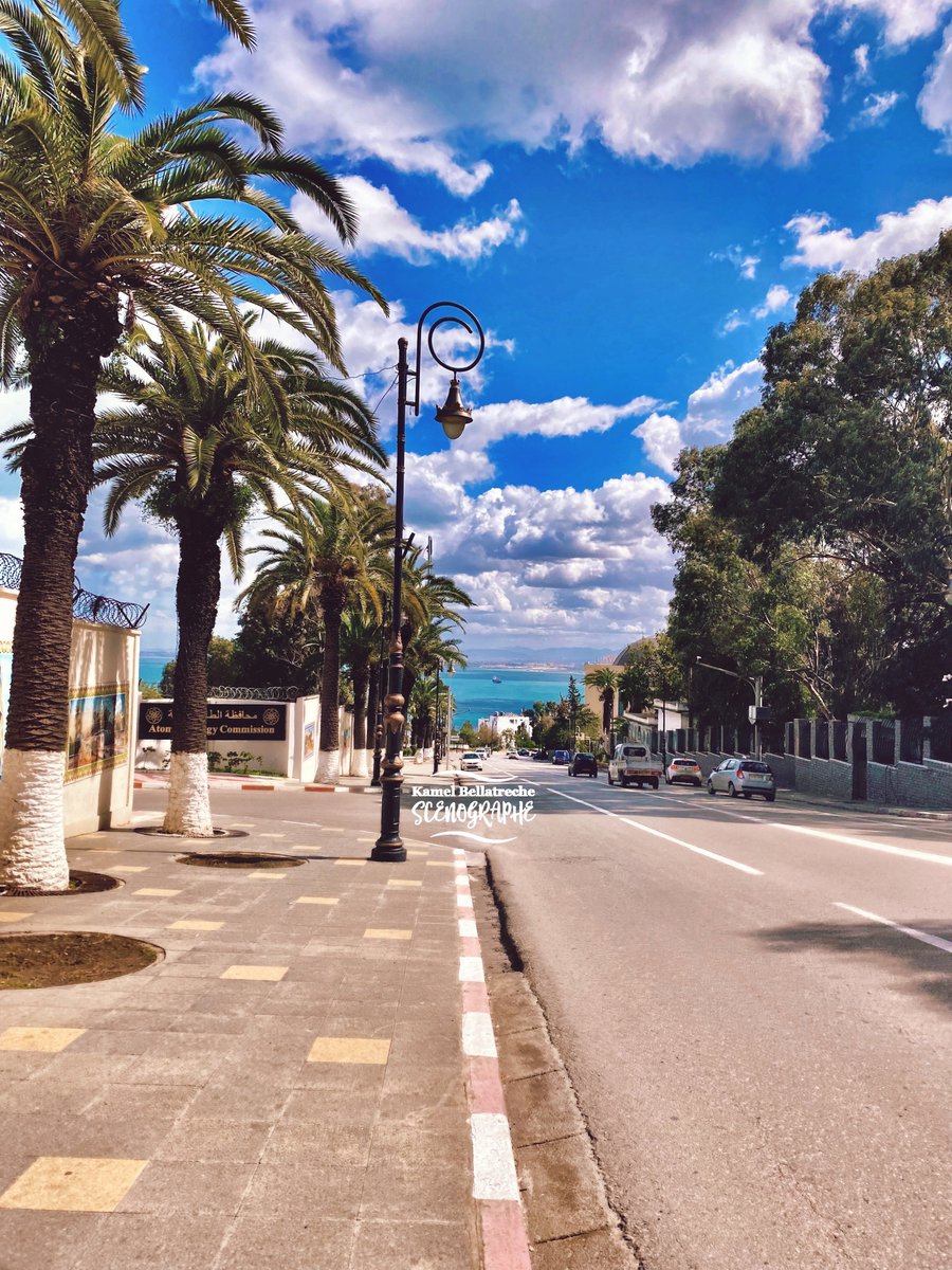 Avenue, Frantz Fanon, Alger
