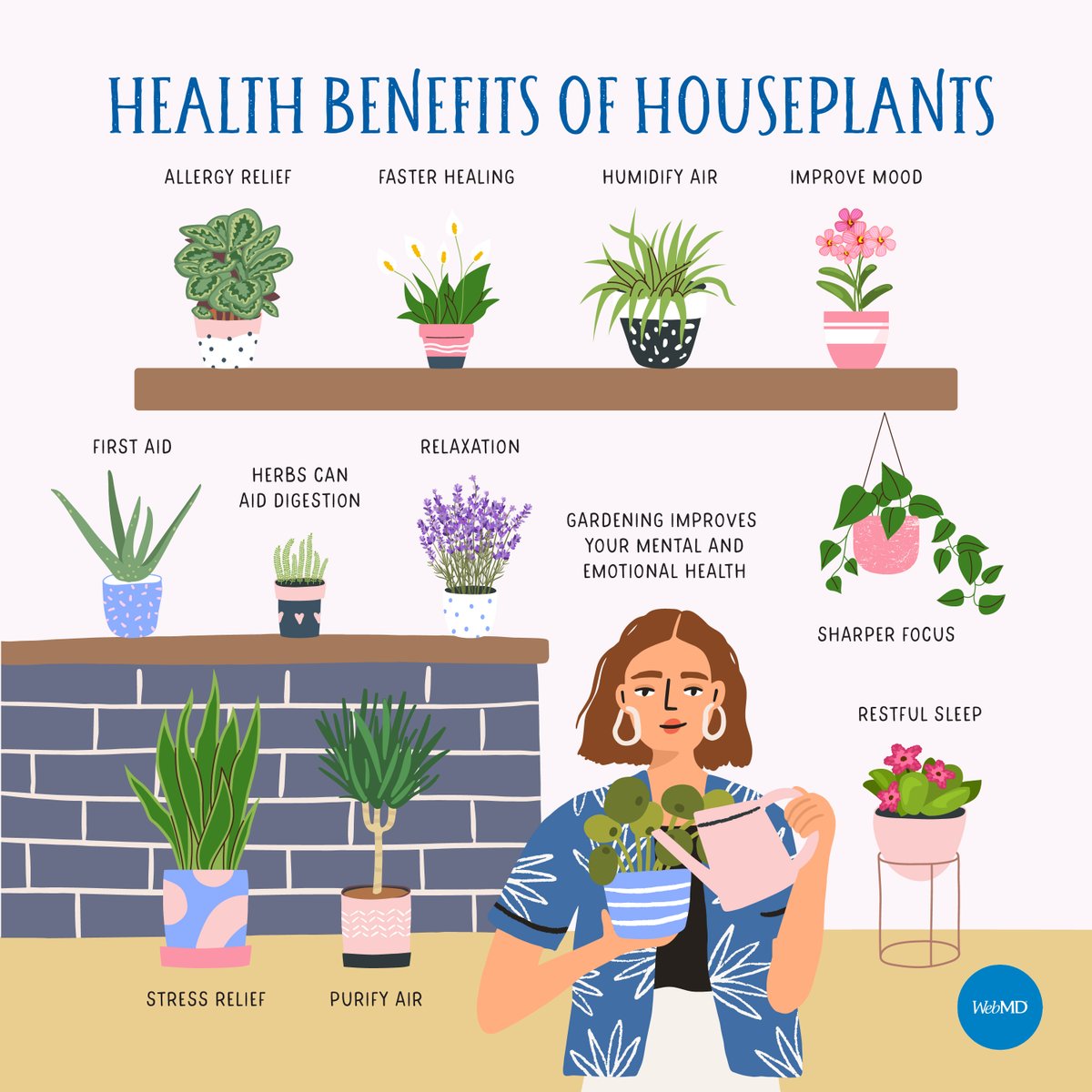 Researchers found that rooms with plants have less dust and mold than rooms without any foliage. Here are other health benefits from having houseplants: wb.md/3WjgjM7