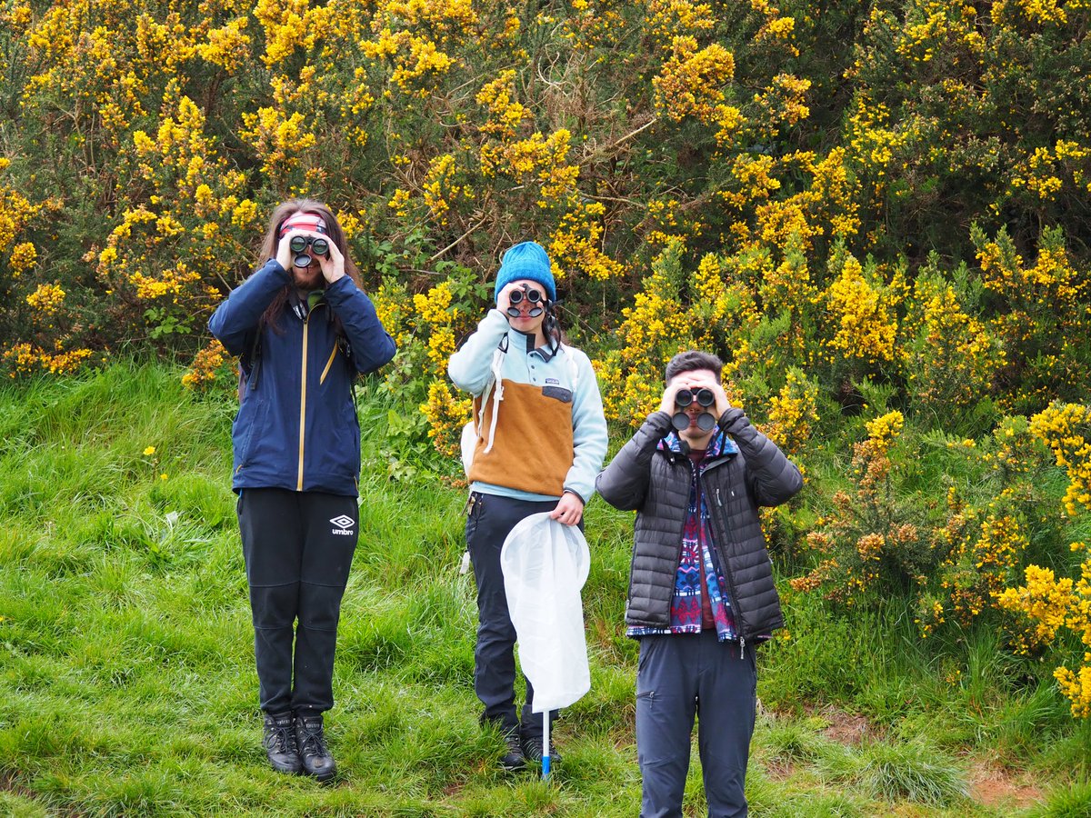 It’s giving…Wes Anderson turned Pokémon enthusiast #gottacatchemall

Thank you all so much for braving the hail today and contributing to the #CityNatureChallenge

We do it all again tomorrow at Black Mountain!