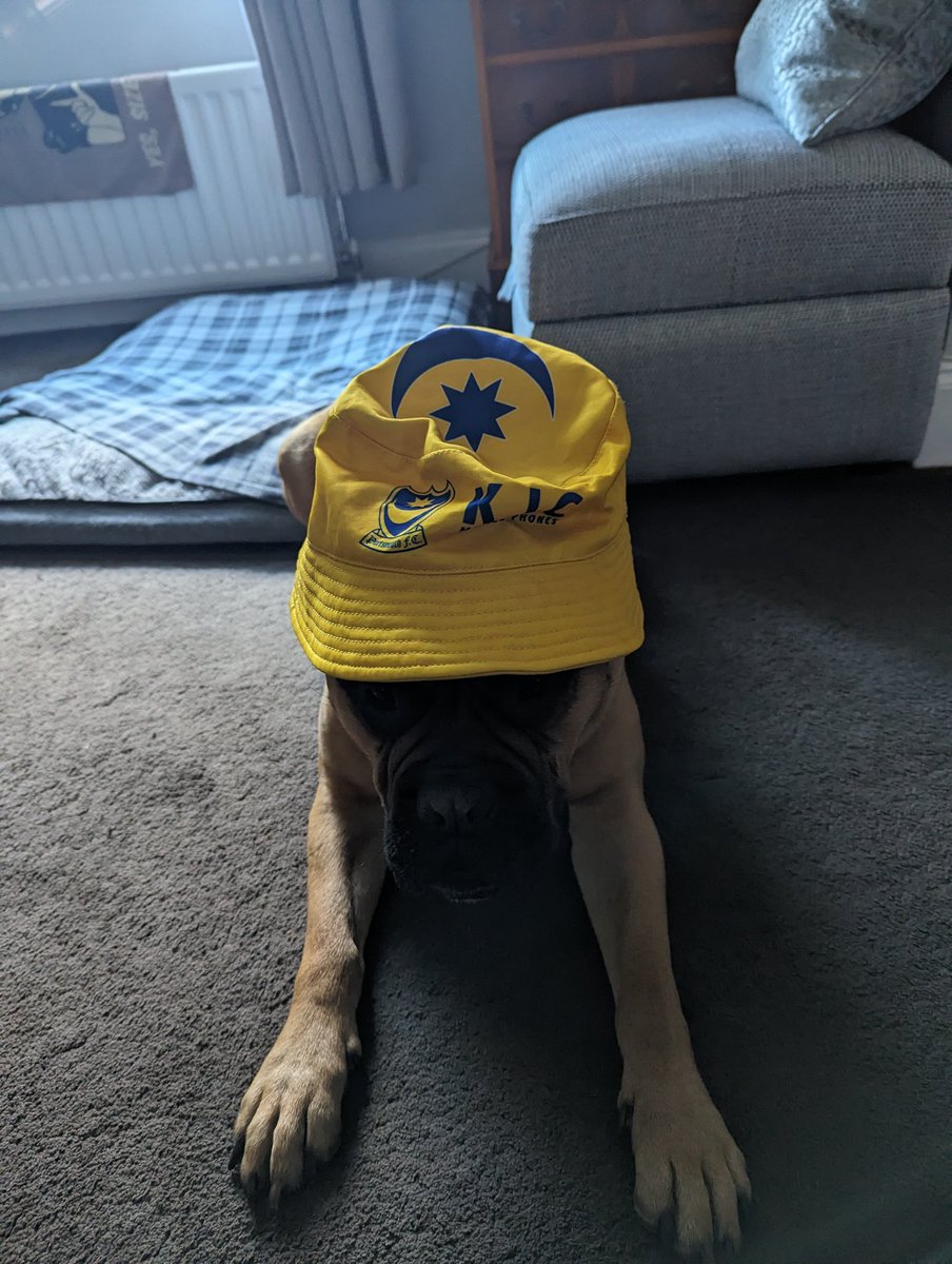 Mabel wears it well #Pompey #BucketHat