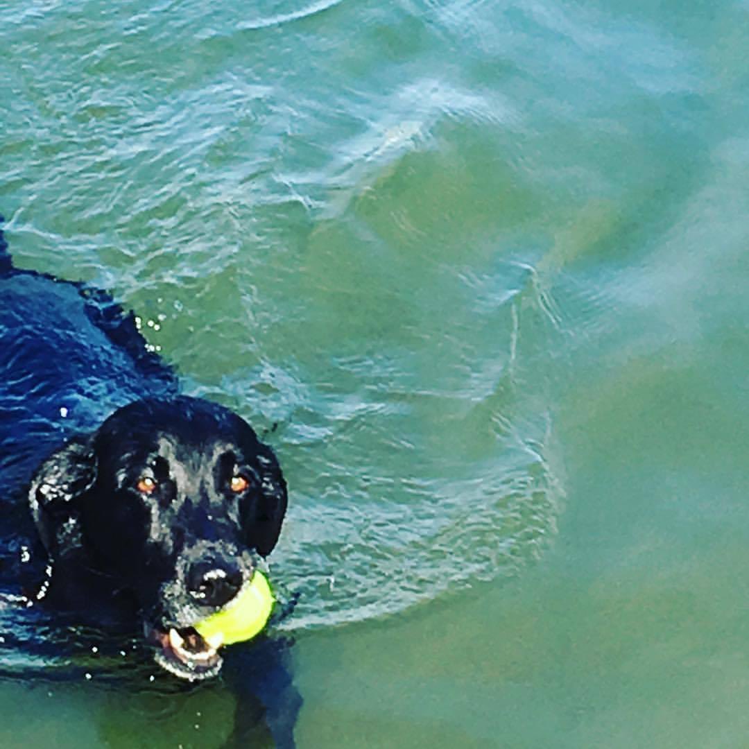 Priscilla Feral tweet media