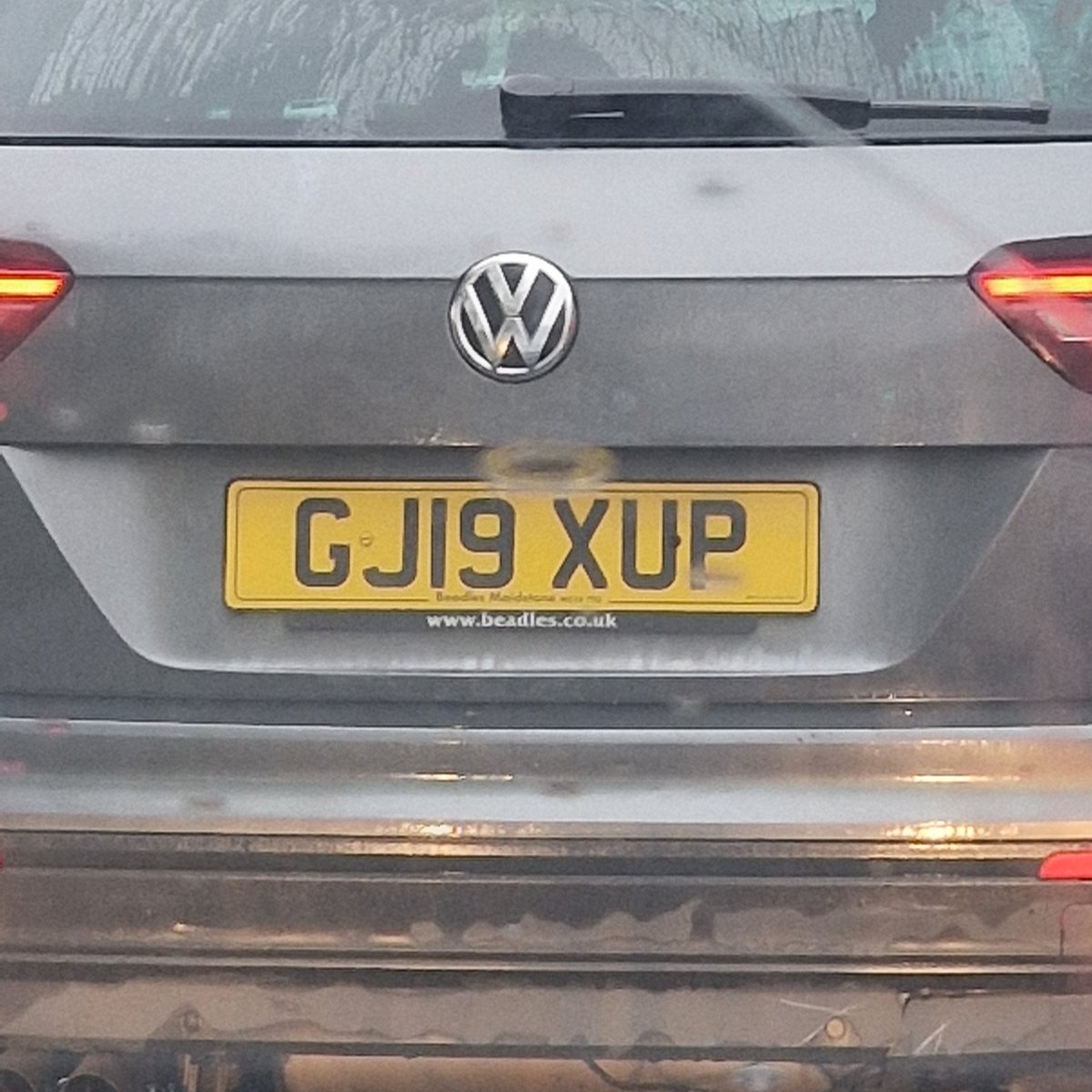 Ally Collins tweet media