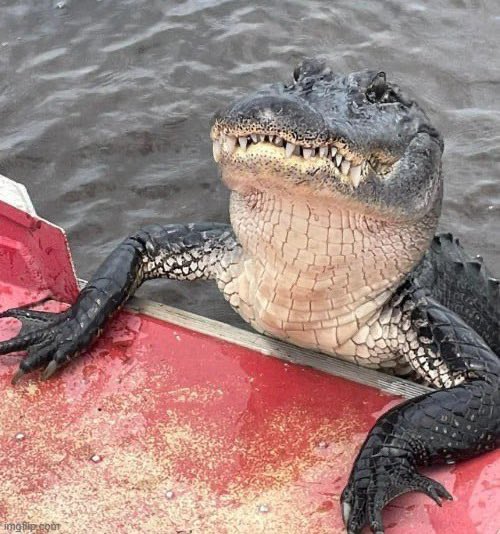 Bonjour @Lacoste. Nous feriez vous l’honneur de sponsoriser la baignade d’Emmanuel Macron dans la Seine svp? Envoyez juste la mascotte, pas besoin d’argent!🙏🏻