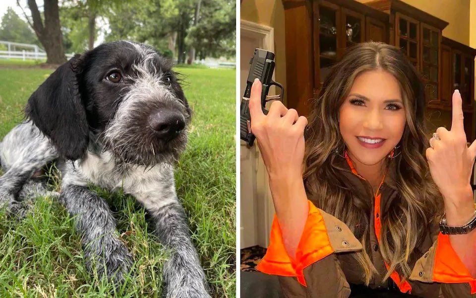 KenRob's tweet image. Kristi Noem drops new single “I Shot The Puppy”