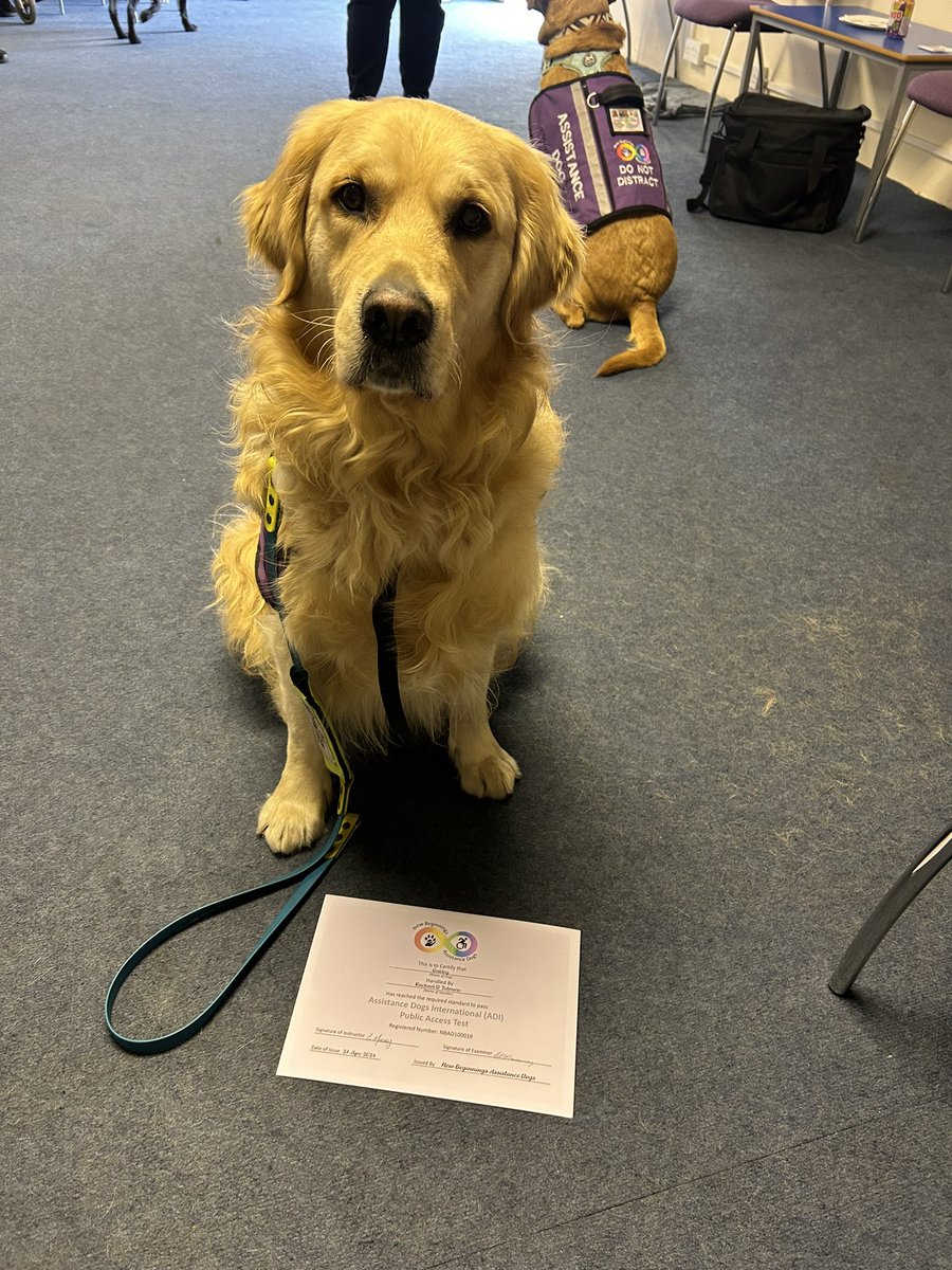 Lil Rachett tweet media