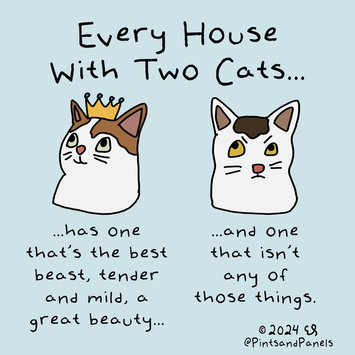 Every house with two cats