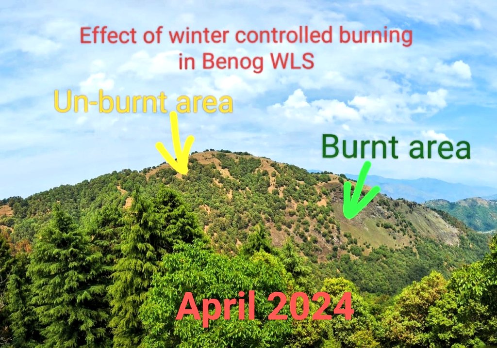 Vaibhav Singh,IFS tweet media