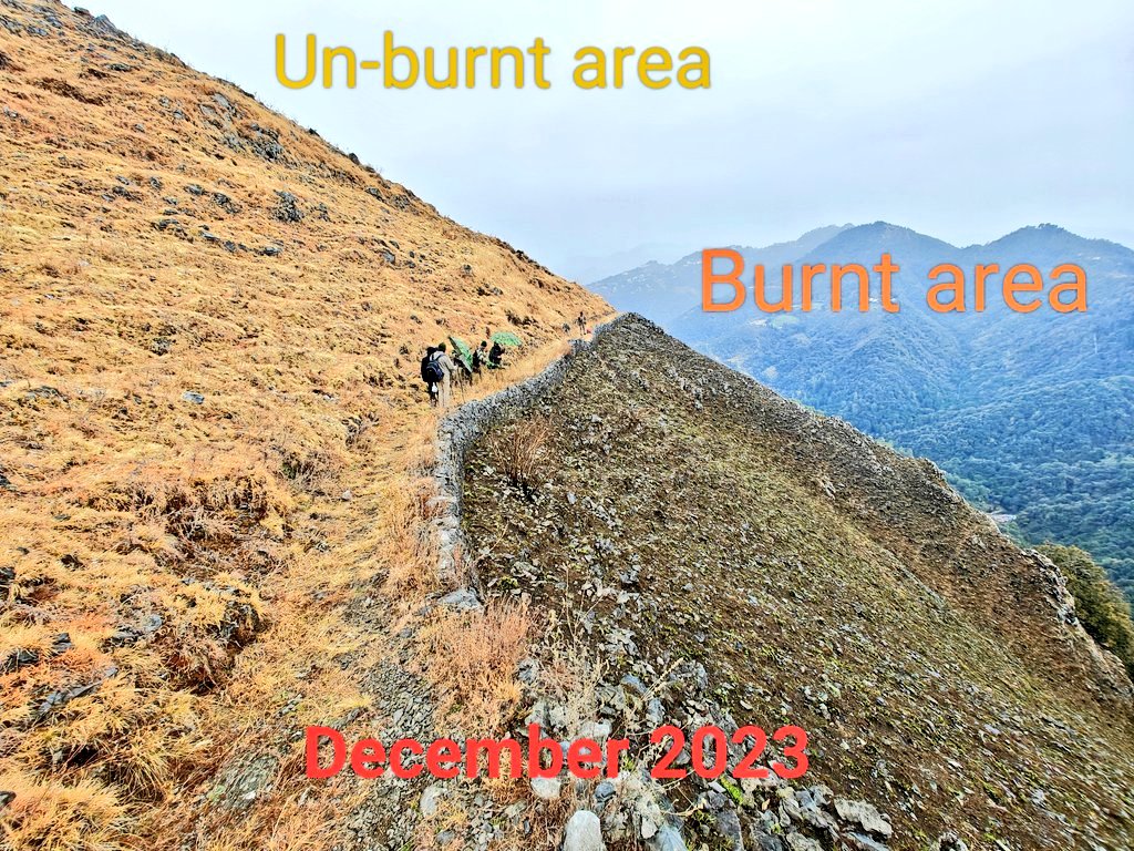 Vaibhav Singh,IFS tweet media