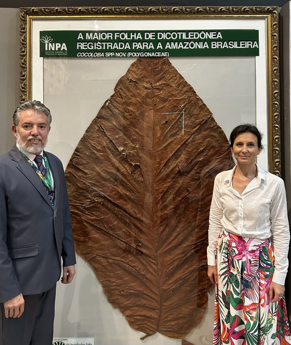 Em Manaus, a embaixadora @BognaJanke visitou o Instituto Nacional de Pesquisas da #Amazônia (#INPA). O diretor do Instituto, professor Henrique dos Santos Pereira, falou sobre o Instituto, a cooperação com instituições estrangeiras e mostrou o Bosque da Ciência. 🇵🇱🤝🇧🇷