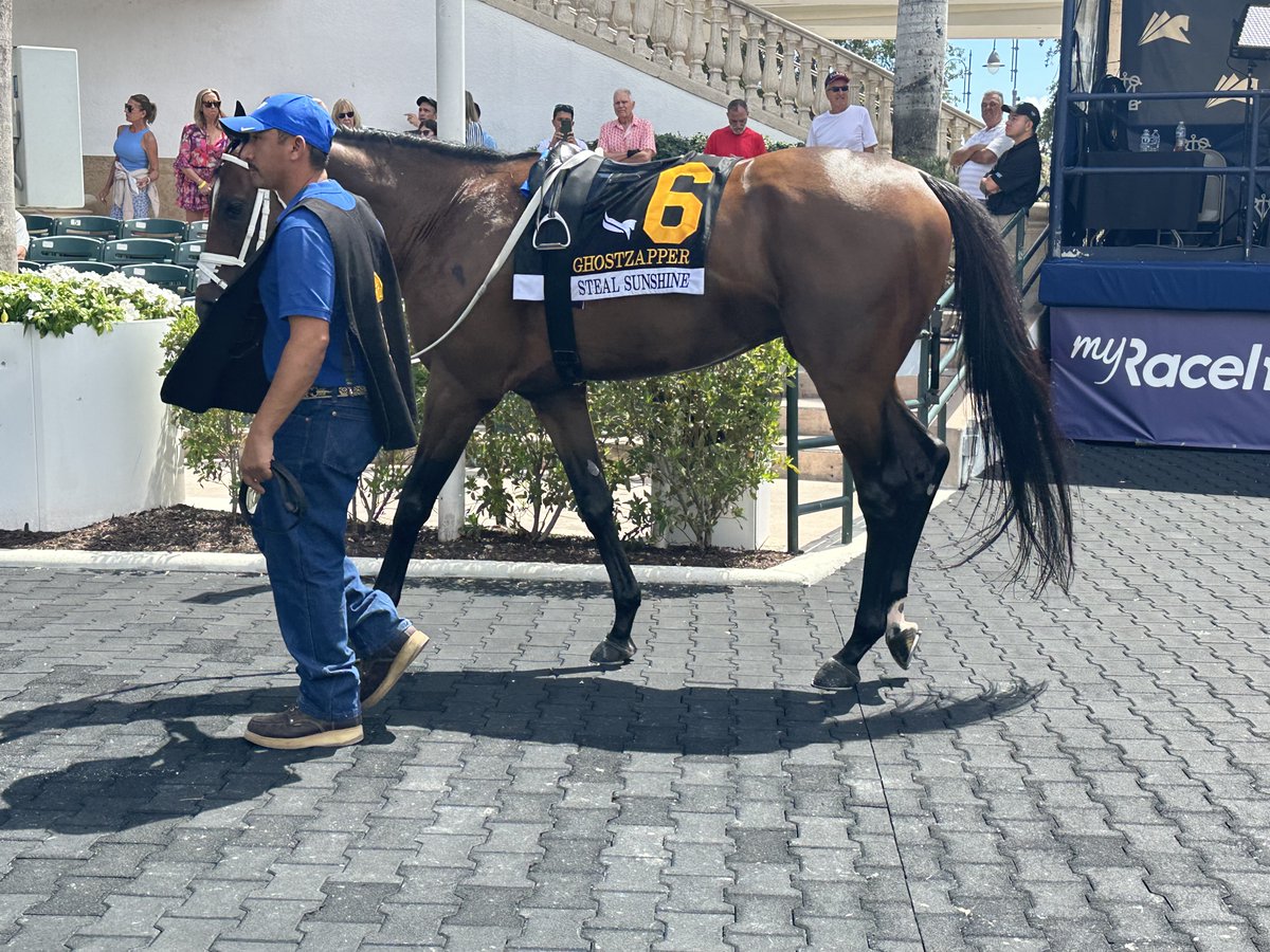 @official_len Steal Sunshine officially enters to run in the G2 Alysheba on Oaks day!!!! Have to share where his name comes from + how much I love this amazing song!!!! @craigbrogden rollingstone.com/music/music-li…