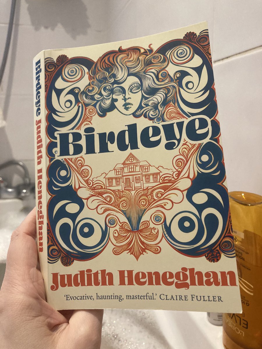 Well I’m bloody loving this. #Birdeye @JudithHeneghan @saltpublishing