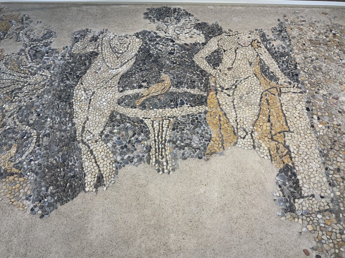 Константин Рыков tweet media