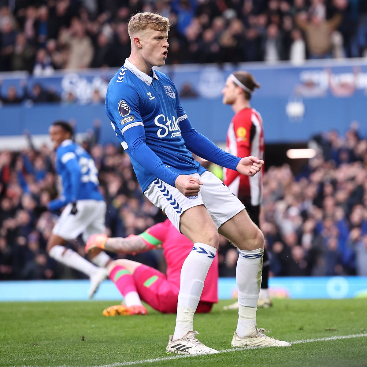 Everton tweet media