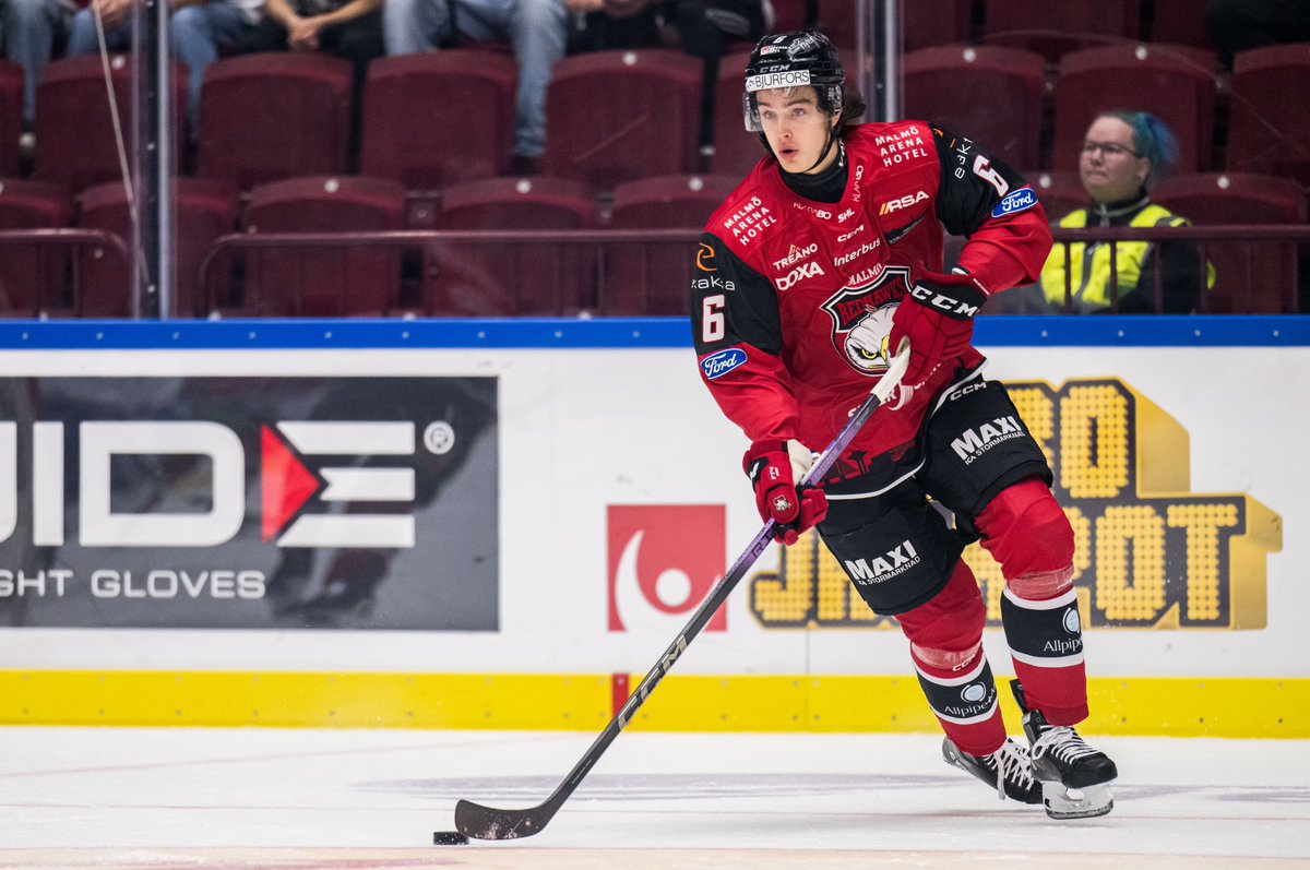 NHL SCOUTING REPORT (VIDEO + GRADES): Dominik Badinka, D, Malmo RedHawks (SHL) A detailed report with lots of video from @RVBScouting tinyurl.com/mt3msdek