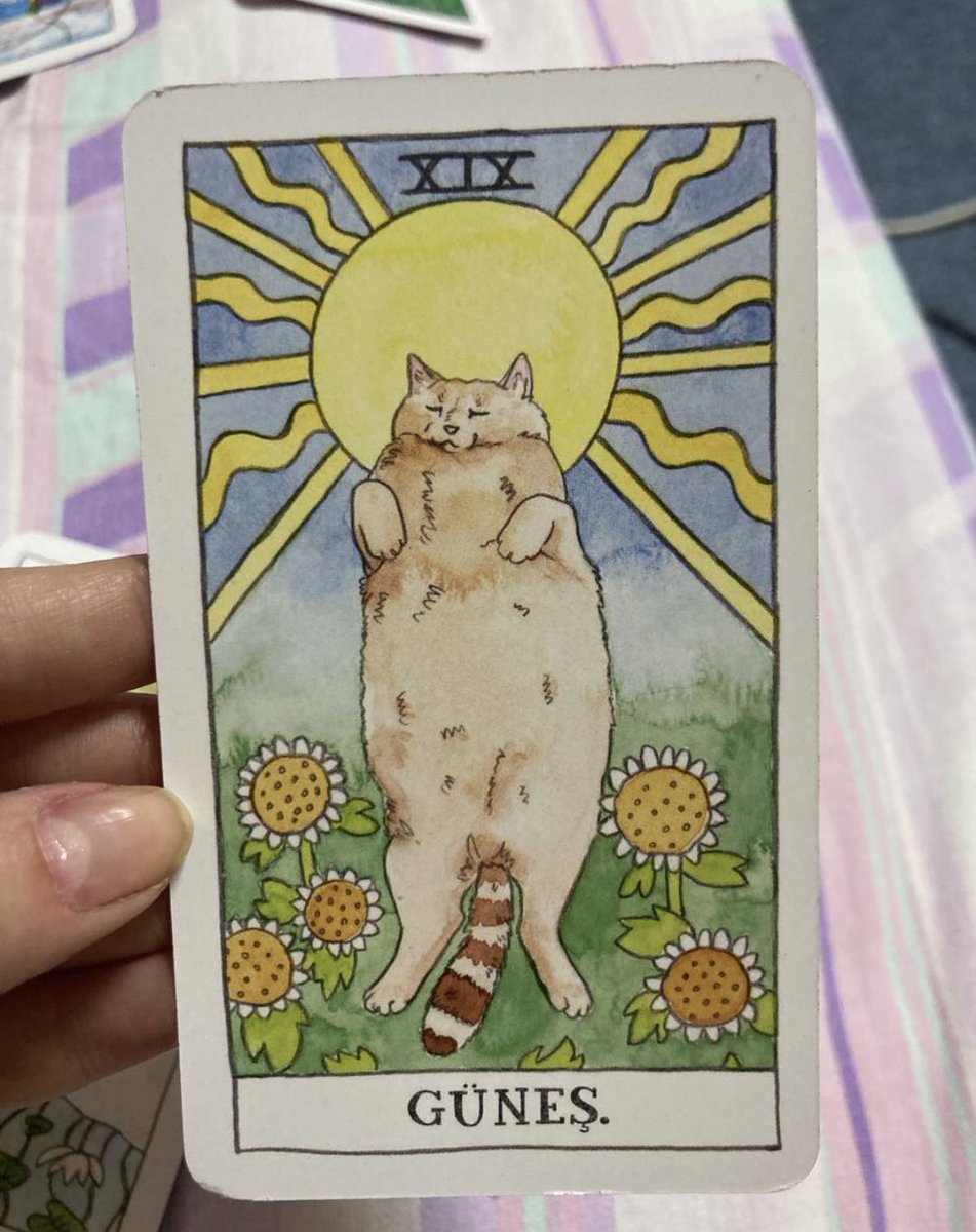 kedimin ismi gunes ve boyle bir tarot karti kesfettim