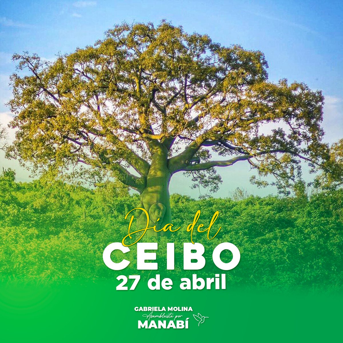 El 27 de abril se conmemora el Día del Ceibo, como 'Patrimonio Natural y Simbólico de la Identidad Cultural de Manabí'.
🌳
#DíaDelCeibo
#PatrimonioNatural
#27DeAbril
#AsambleístaPorManabí #GabrielaMolinaAsambleísta