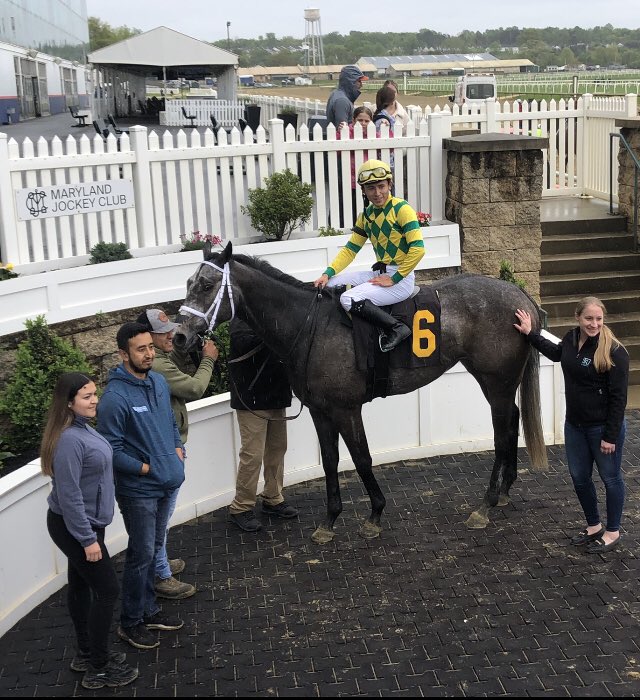 MD-restricted allowance at 1M on turf @LaurelPark results in dead heat between (1) Vax a Nation (@FLynchJockey for Hugh McMahon) and (6) Crabs N Beer (@itz_lil_g for @Keri145).