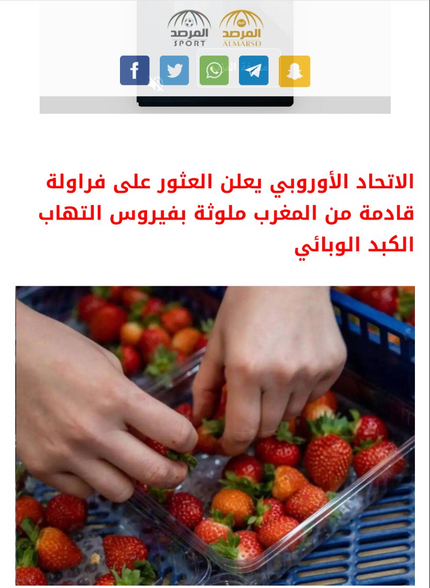الاتحاد الاوروبي يحذر من الفراوله المغربيه.
 لتلوثها بفايروس الكبد الوبائي
