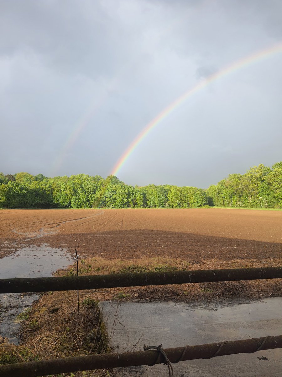 Belon98537846's tweet photo. Irrigation sur Maïs avec doublé d'arc en Cie dans mon petit coin de #Charentemaritime #StSavinien #Maïs https://t.co/sshA3ysq4L